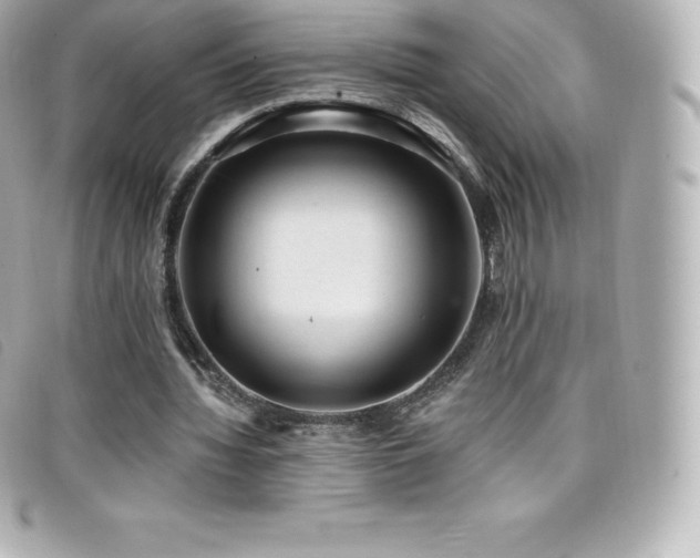 X0000099480436200805091612