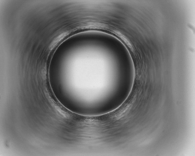 X0000099480437200805091612