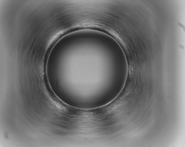 X0000099480438200805091612