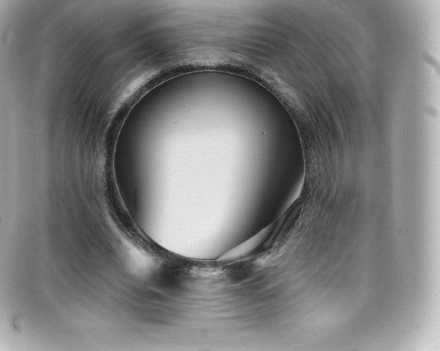 X0000099480440200805091612