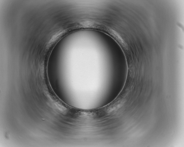 X0000099480442200805091612