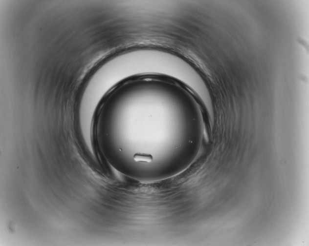 X0000099480444200805091612