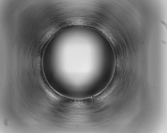 X0000099480445200805091612