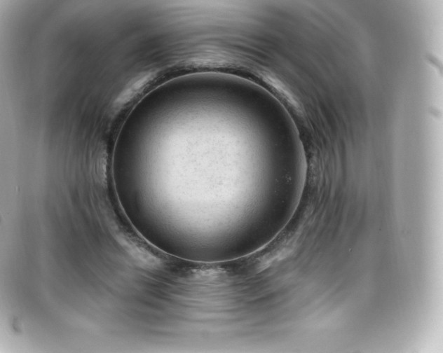 X0000099480446200805091612
