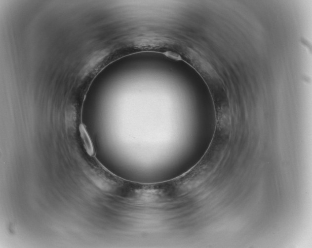 X0000099480448200805091612