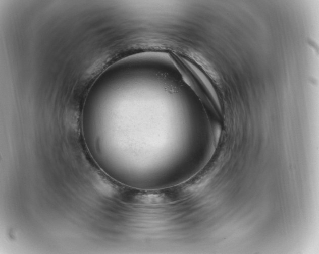 X0000099480449200805091612