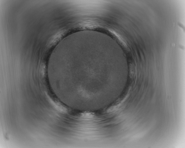X0000099480451200805091612