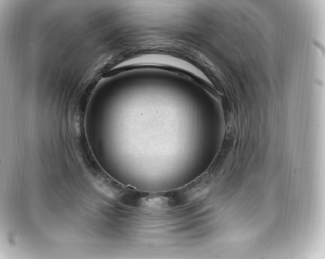 X0000099480452200805091612
