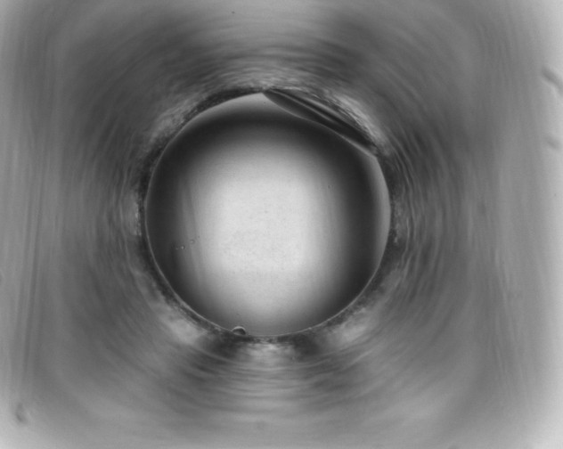 X0000099480453200805091612