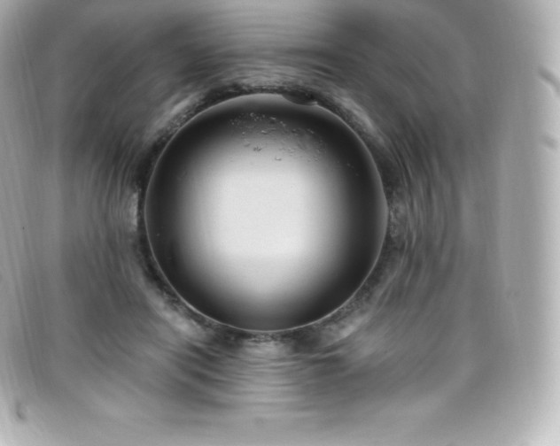 X0000099480454200805091612