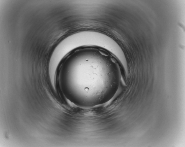 X0000099480456200805091612
