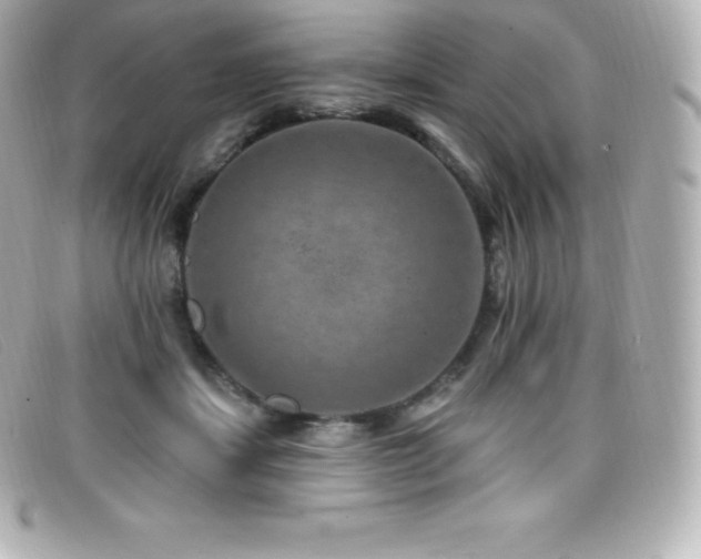 X0000099480459200805091612