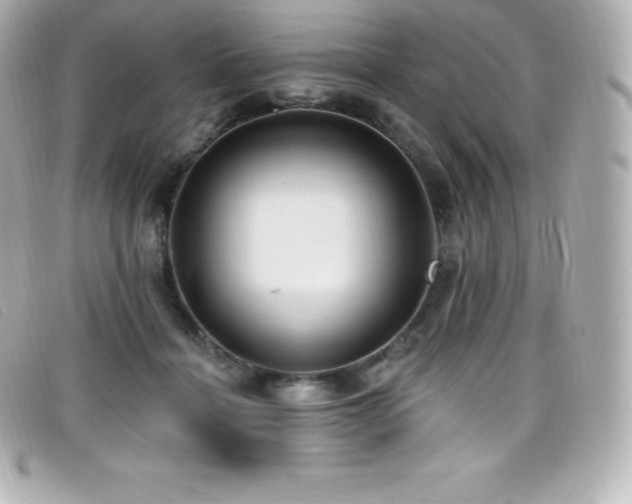 X0000099480460200805091612