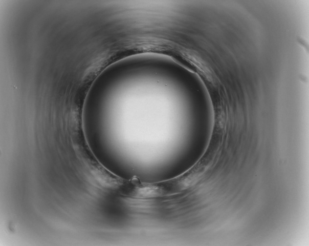 X0000099480461200805091612