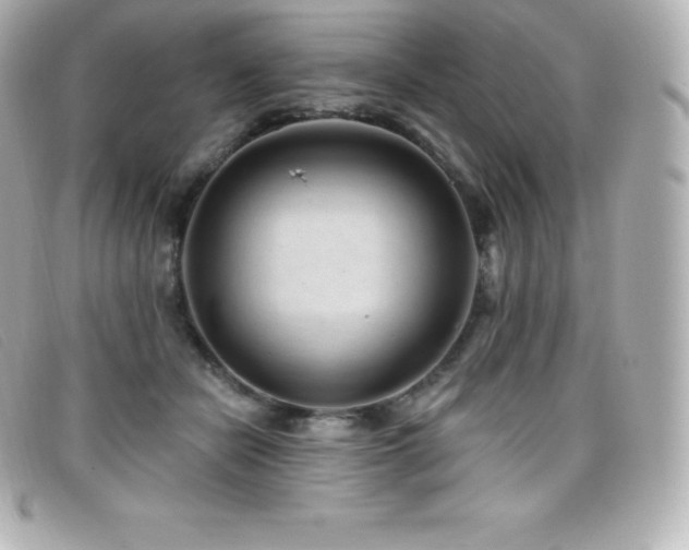 X0000099480462200805091612