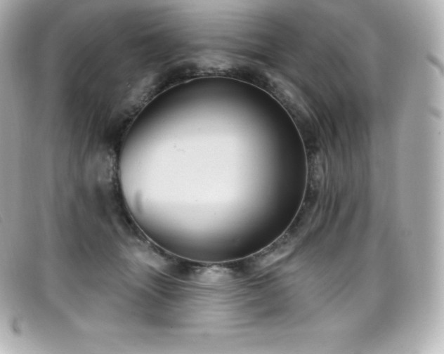 X0000099480463200805091612