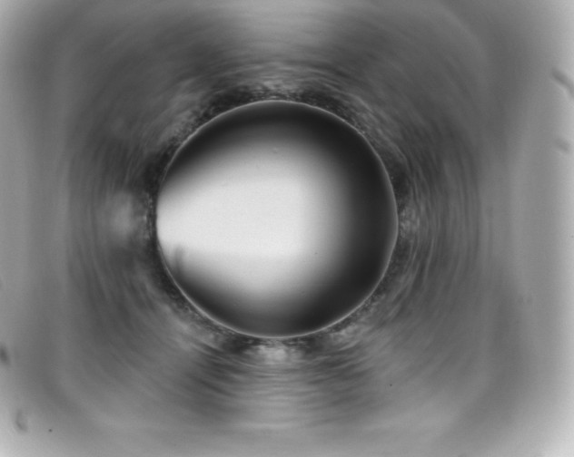 X0000099480464200805091612