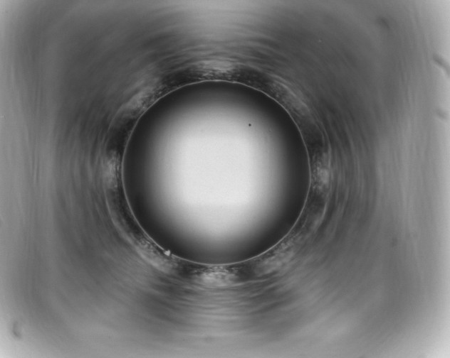 X0000099480468200805091612