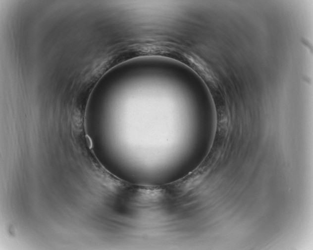 X0000099480469200805091612