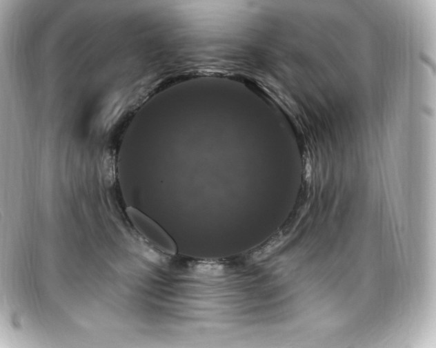 X0000099480471200805091612