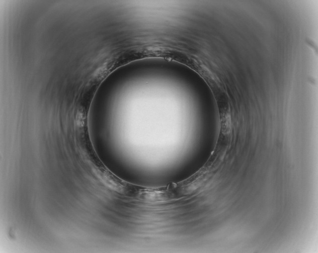 X0000099480472200805091612
