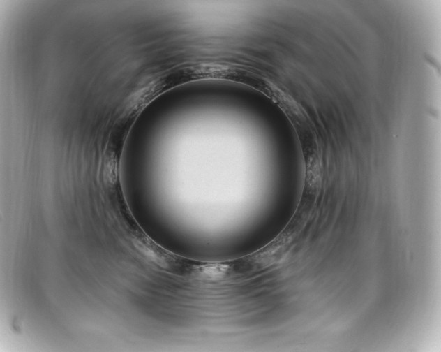 X0000099480474200805091612