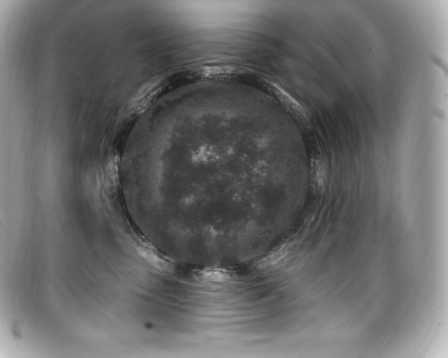X0000099480475200805091612