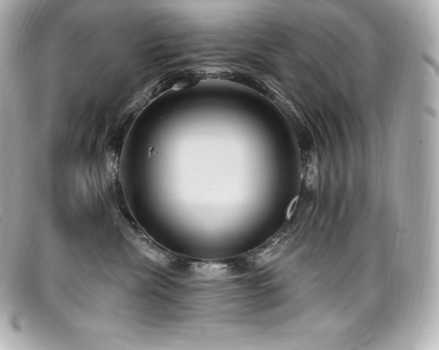 X0000099480476200805091612