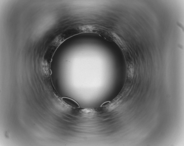 X0000099480477200805091612