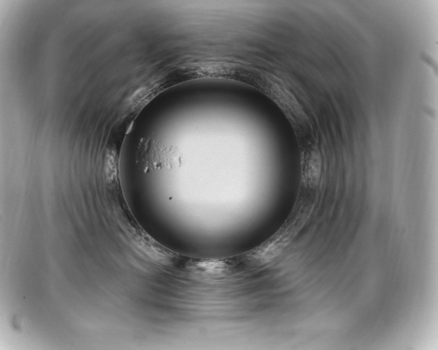 X0000099480478200805091612