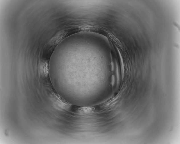 X0000099480479200805091612