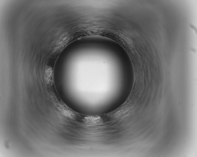 X0000099480480200805091612