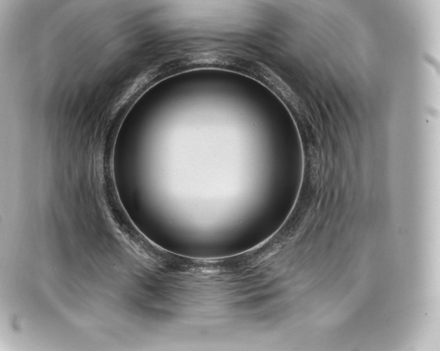 X0000099480482200805091612