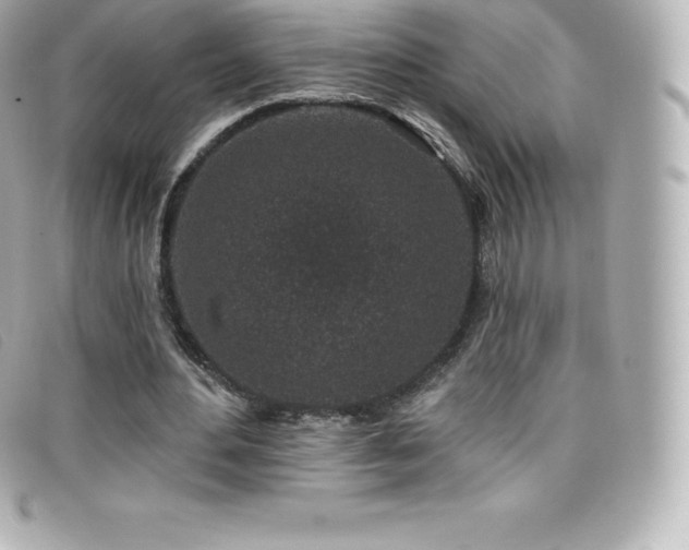 X0000099480484200805091612