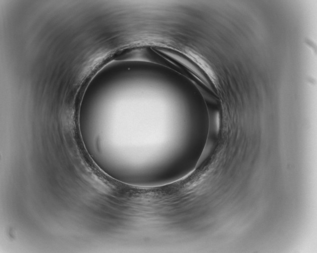 X0000099480485200805091612