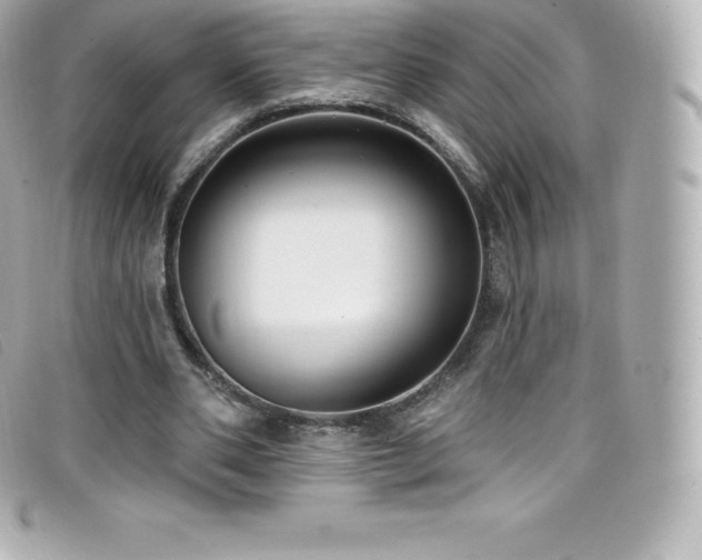 X0000099480486200805091612