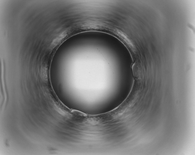 X0000099480489200805091612