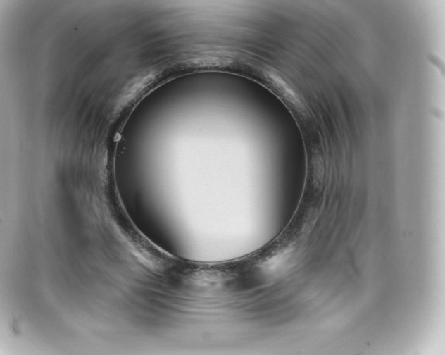 X0000099480490200805091612