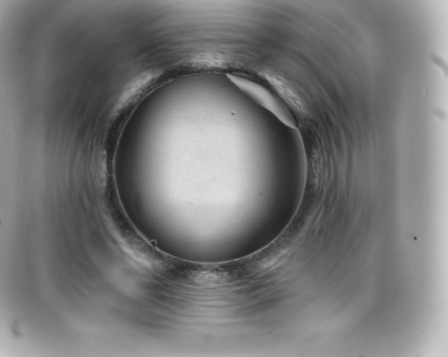X0000099480494200805091612