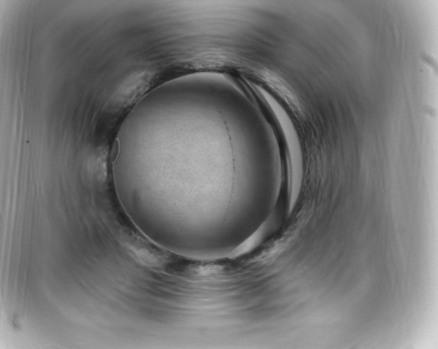 X0000099480501200805091611