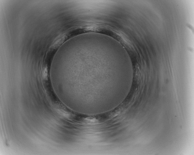 X0000099480502200805091611