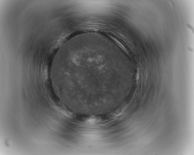 X0000099480504200805091611