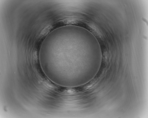 X0000099480506200805091611