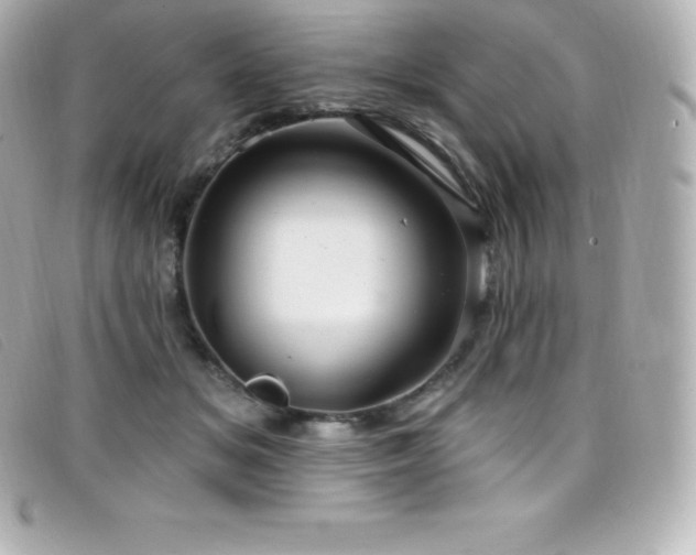 X0000099480509200805091611