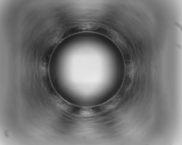 X0000099480510200805091611