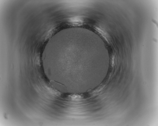 X0000099480512200805091611