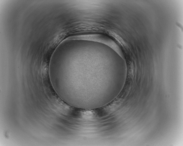 X0000099480513200805091611