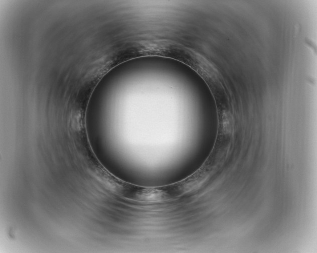 X0000099480514200805091611