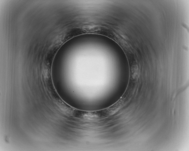 X0000099480515200805091611