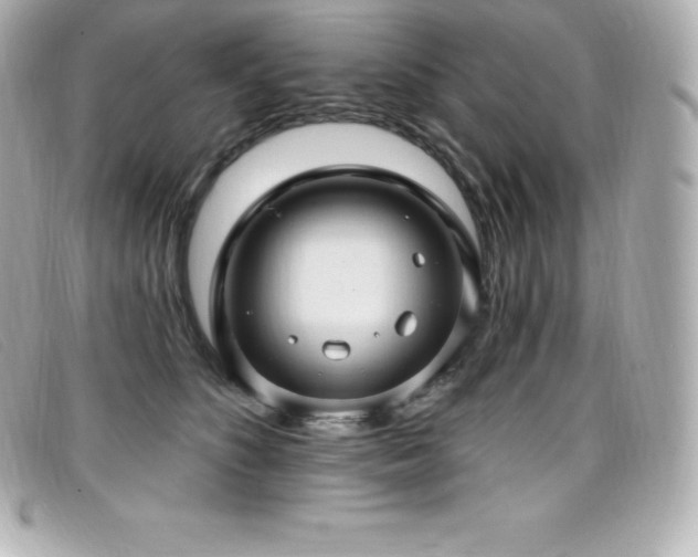 X0000099480516200805091611